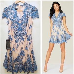 NEW Bebe powder blue and nude lace dress